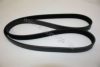AUTOMEGA 3113400657 V-Ribbed Belts